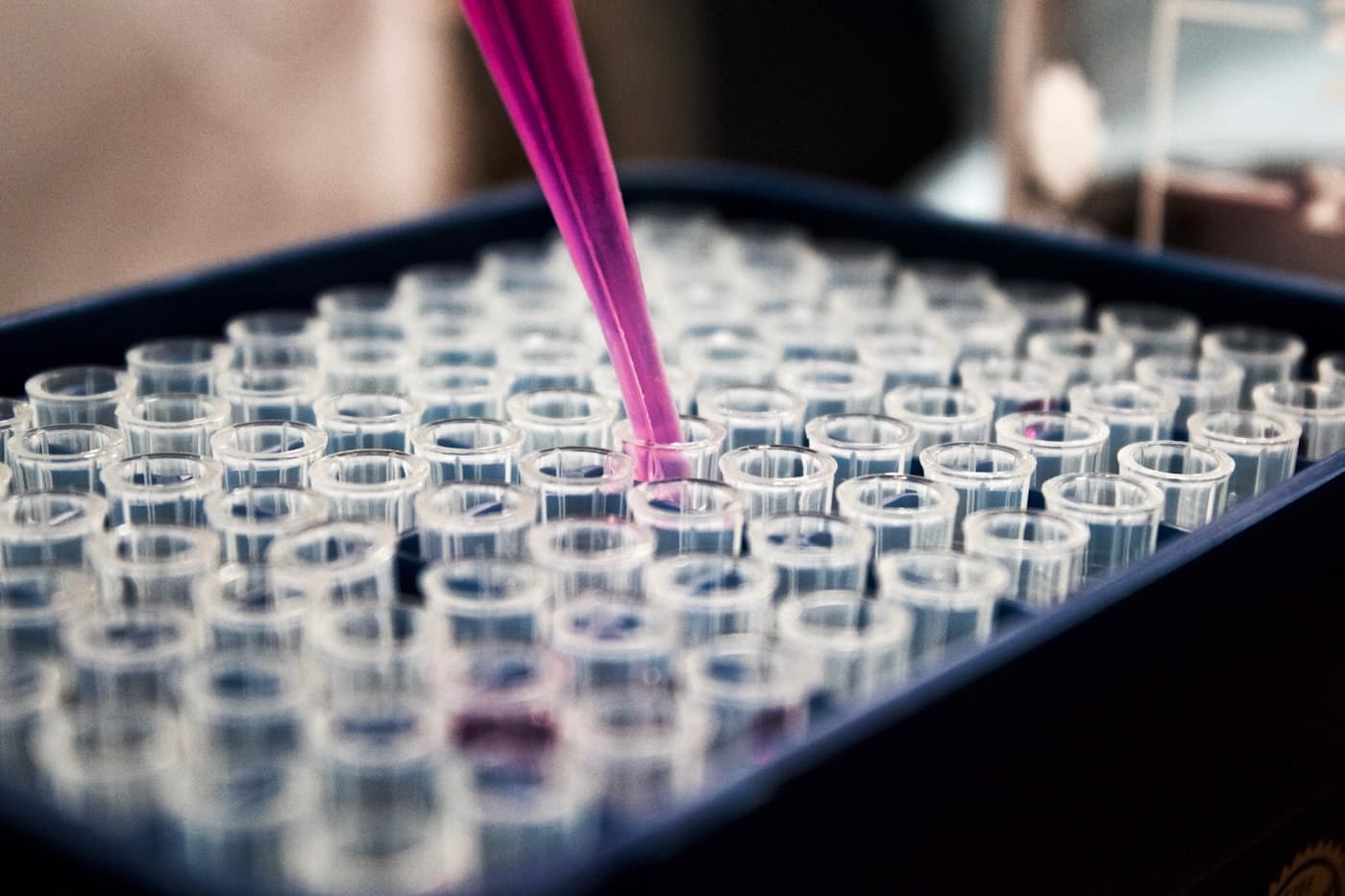 Nutrition powder R&D