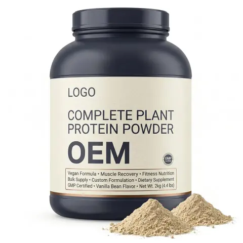 Private Label Vegan Adult Fast Lead Time Complete Plant Protein Powder Post Workout Energy Boost Flexible MOQ Bulk Wholesale